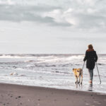 Hond strand Ijmuiden