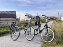 Bike rental IJmuiden