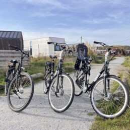 Bike rental IJmuiden